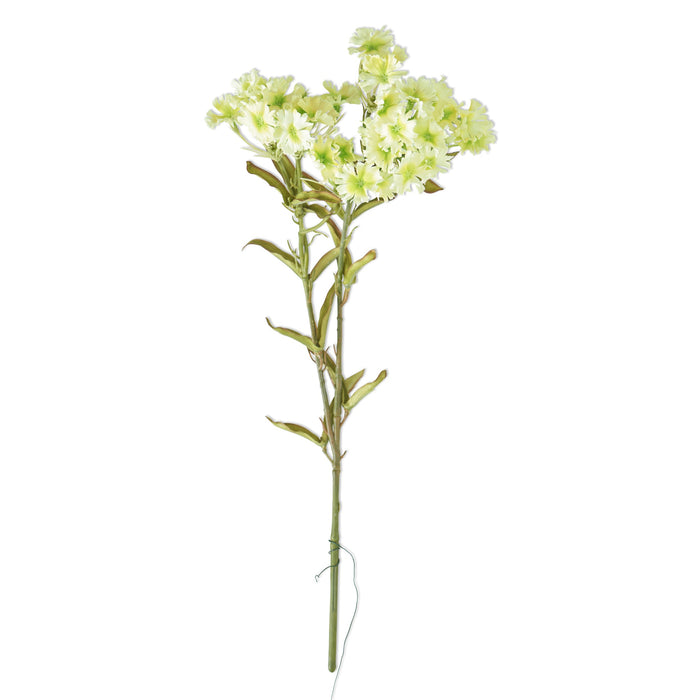 Green Plains Coreopsis Spray