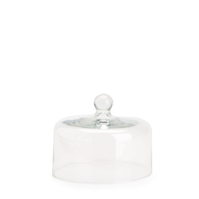 Small Glass Dome