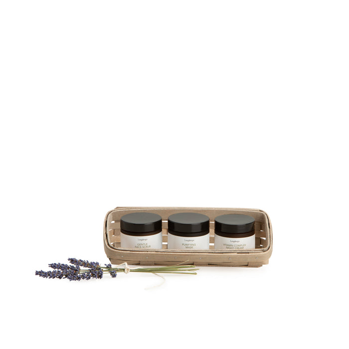 Pale Grey Small Skin Care Basket Set with Free Protector & Essential Skin 1-2-3 Kit